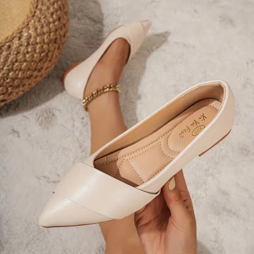 Ballet flats met puntige neus