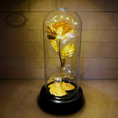 Roos | Gouden kleur roos in glas